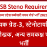 MPESB Steno Requirement 2025